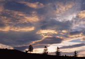 tkf001_111132