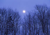 tkf001_111436