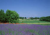 tkf001_111440