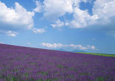 tkf001_111559