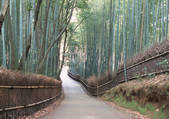 tkf001_112633