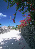 tkf001_113637