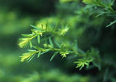 tkf001_113688