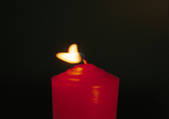 tkf001_113981