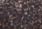 tkf001_114415