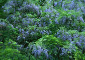 tkf001_120535