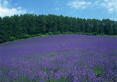 tkf001_121237
