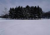 tkf001_122955