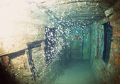 tkf001_126961