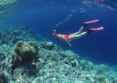 tkf001_128275