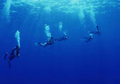 tkf001_128401