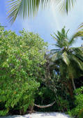 tkf001_133262