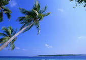 tkf001_133386