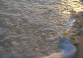 tkf001_133525