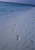 tkf001_133527