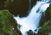 tkf001_133604