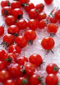 tkf001_135358