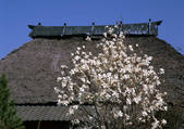 tkf001_137846