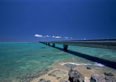 tkf001_138709