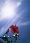 tkf001_138740