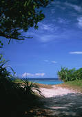tkf001_138749