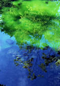 tkf001_139113