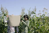 tkf001_149244