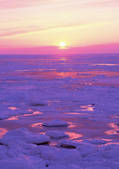 tkf001_150440