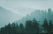 tkf001_200778