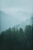 tkf001_200779