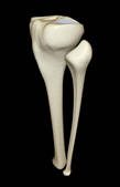 tkf001_213006