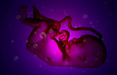 tkf001_214261