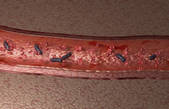 tkf001_221021