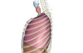 tkf001_222122