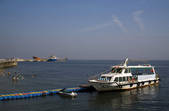 tkf001_303807