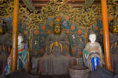 tkf001_303965