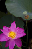 tkf001_304445