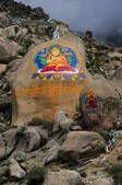 tkf001_305334