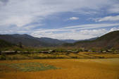 tkf001_307219