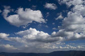 tkf001_307268