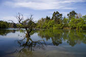 tkf001_307514