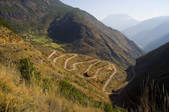 tkf001_307702