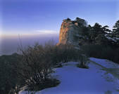 tkf001_309007