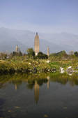 tkf001_325712