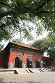 tkf001_333295