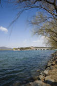 tkf001_338424