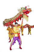 tkf001_338884