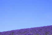 tkf001_389923