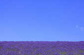 tkf001_389924
