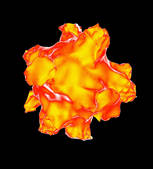 tkf001_402456